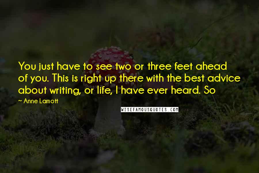 Anne Lamott quotes: You just have to see two or three feet ahead of you. This is right up there with the best advice about writing, or life, I have ever heard. So