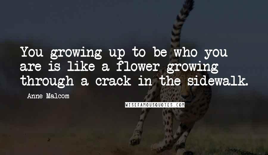 Anne Malcom quotes: You growing up to be who you are is like a flower growing through a crack in the sidewalk.