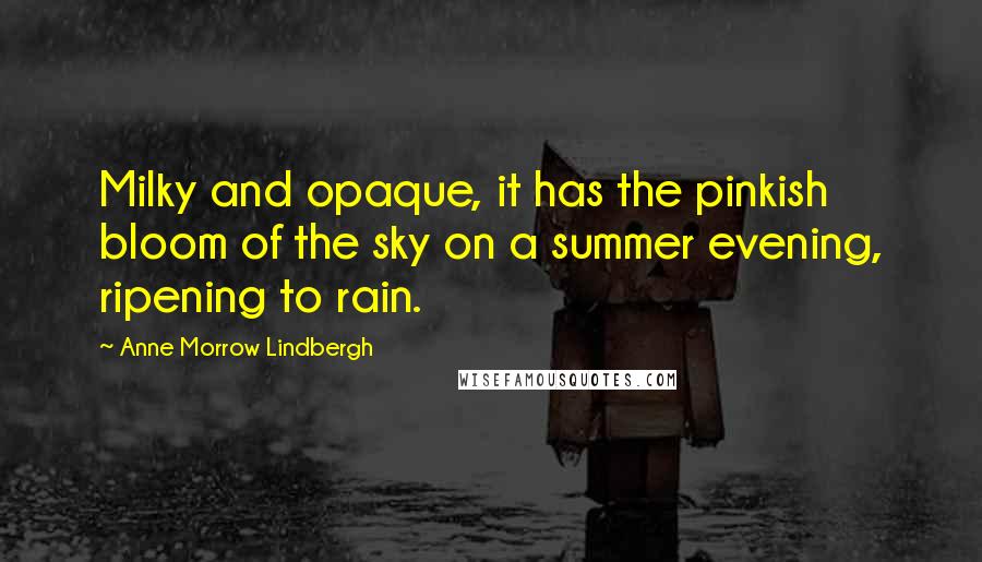 Anne Morrow Lindbergh quotes: Milky and opaque, it has the pinkish bloom of the sky on a summer evening, ripening to rain.