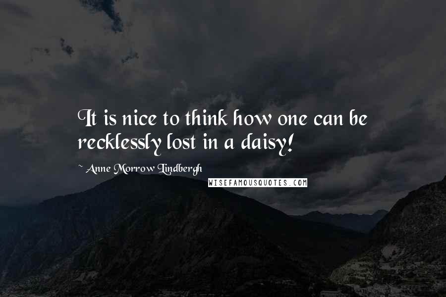 Anne Morrow Lindbergh quotes: It is nice to think how one can be recklessly lost in a daisy!