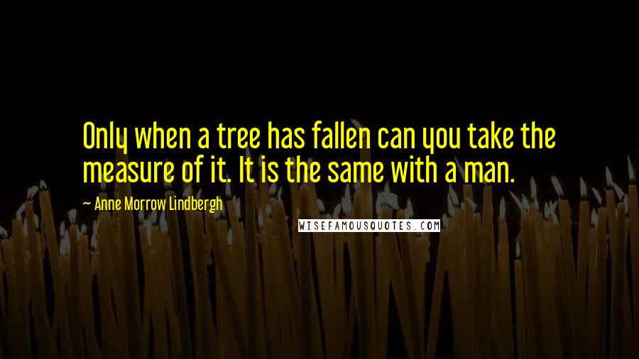 Anne Morrow Lindbergh quotes: Only when a tree has fallen can you take the measure of it. It is the same with a man.