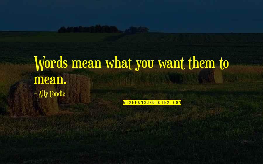 Anne Rice Merrick Quotes By Ally Condie: Words mean what you want them to mean.