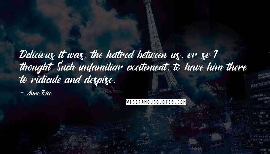 Anne Rice quotes: Delicious it was, the hatred between us, or so I thought. Such unfamiliar excitement, to have him there to ridicule and despise.