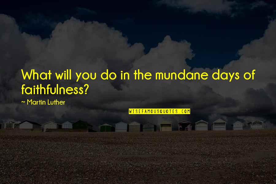 Anne Rivers Siddons Quotes By Martin Luther: What will you do in the mundane days