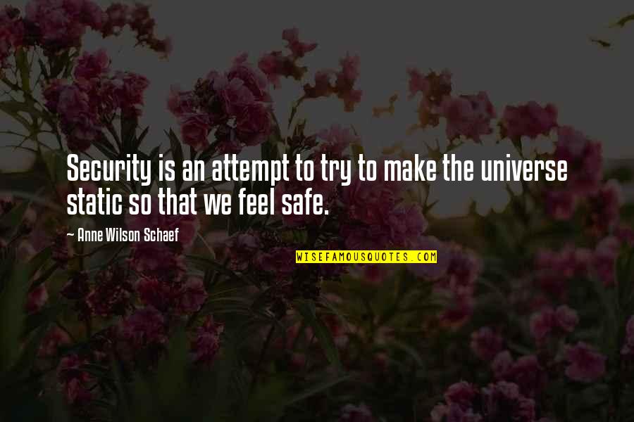 Anne Schaef Quotes By Anne Wilson Schaef: Security is an attempt to try to make