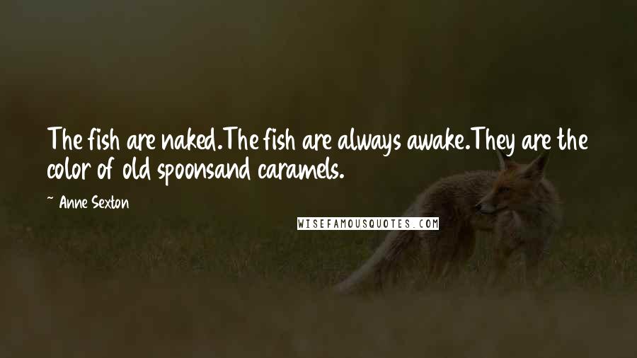 Anne Sexton quotes: The fish are naked.The fish are always awake.They are the color of old spoonsand caramels.