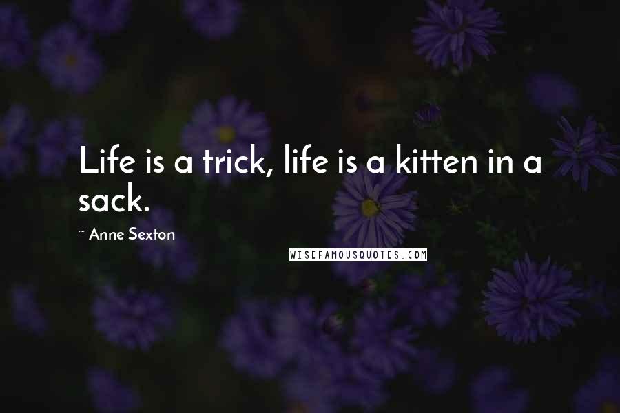 Anne Sexton quotes: Life is a trick, life is a kitten in a sack.