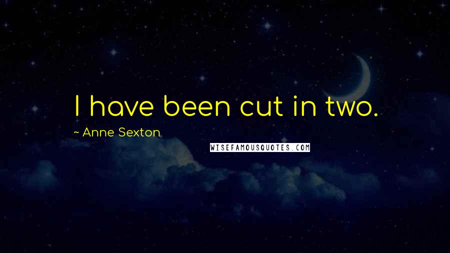 Anne Sexton quotes: I have been cut in two.