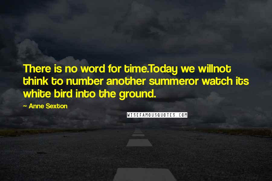 Anne Sexton quotes: There is no word for time.Today we willnot think to number another summeror watch its white bird into the ground.