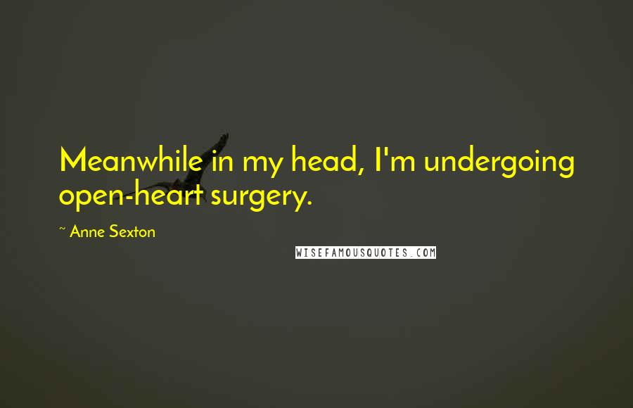 Anne Sexton quotes: Meanwhile in my head, I'm undergoing open-heart surgery.