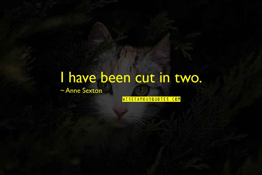 Anne Sexton Quotes By Anne Sexton: I have been cut in two.