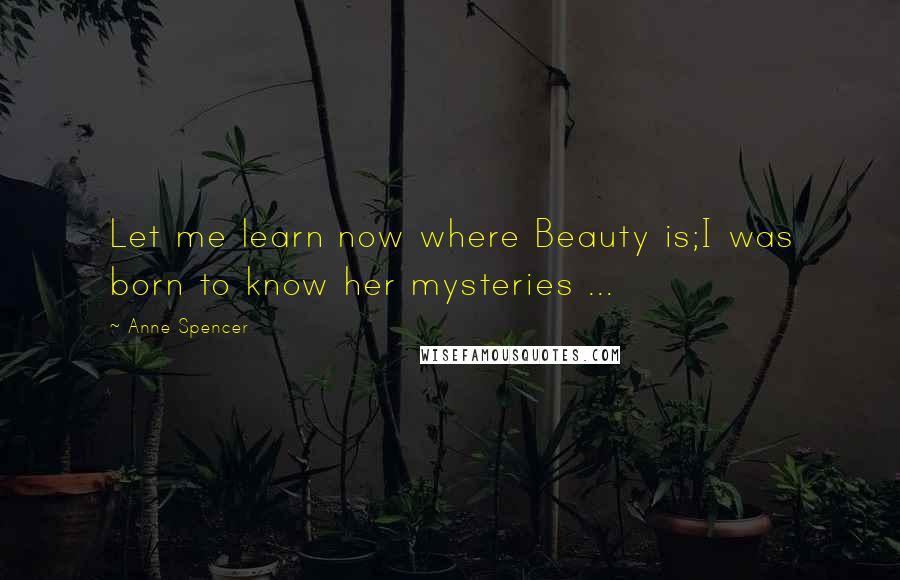 Anne Spencer quotes: Let me learn now where Beauty is;I was born to know her mysteries ...
