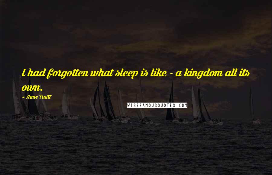 Anne Truitt quotes: I had forgotten what sleep is like - a kingdom all its own.