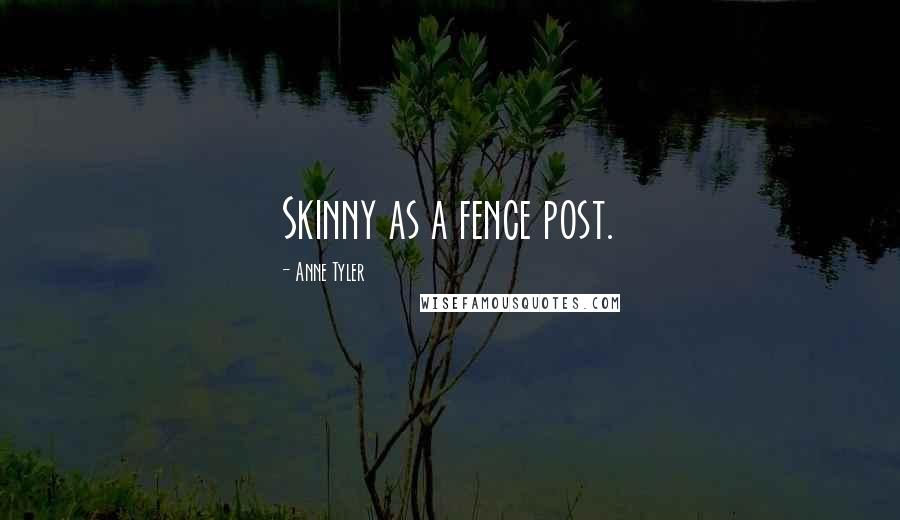 Anne Tyler quotes: Skinny as a fence post.