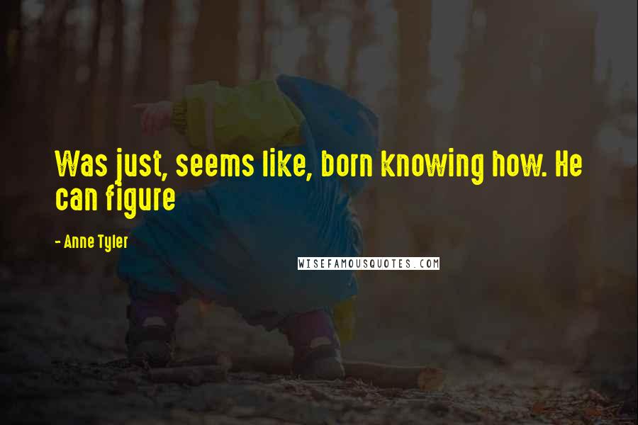 Anne Tyler quotes: Was just, seems like, born knowing how. He can figure