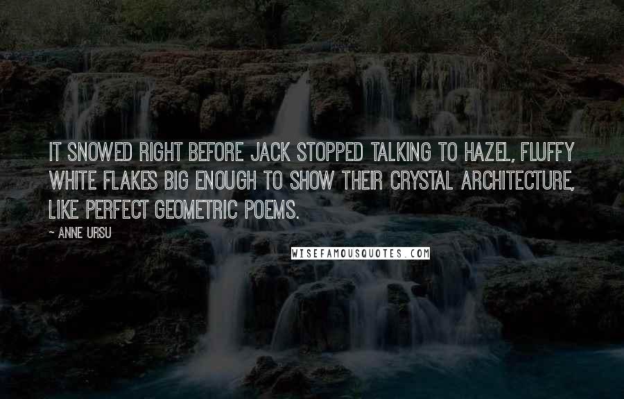 Anne Ursu quotes: It snowed right before Jack stopped talking to Hazel, fluffy white flakes big enough to show their crystal architecture, like perfect geometric poems. Anne Ursu quotes: It snowed right before Jack stopped talking to Hazel, fluffy white flakes big enough to show their crystal architecture, like perfect geometric poems.