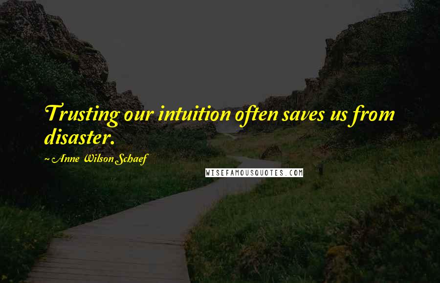 Anne Wilson Schaef quotes: Trusting our intuition often saves us from disaster.