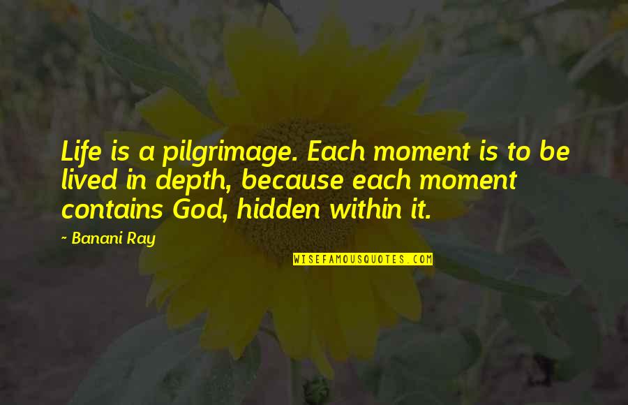 Anne Zahalka Quotes By Banani Ray: Life is a pilgrimage. Each moment is to
