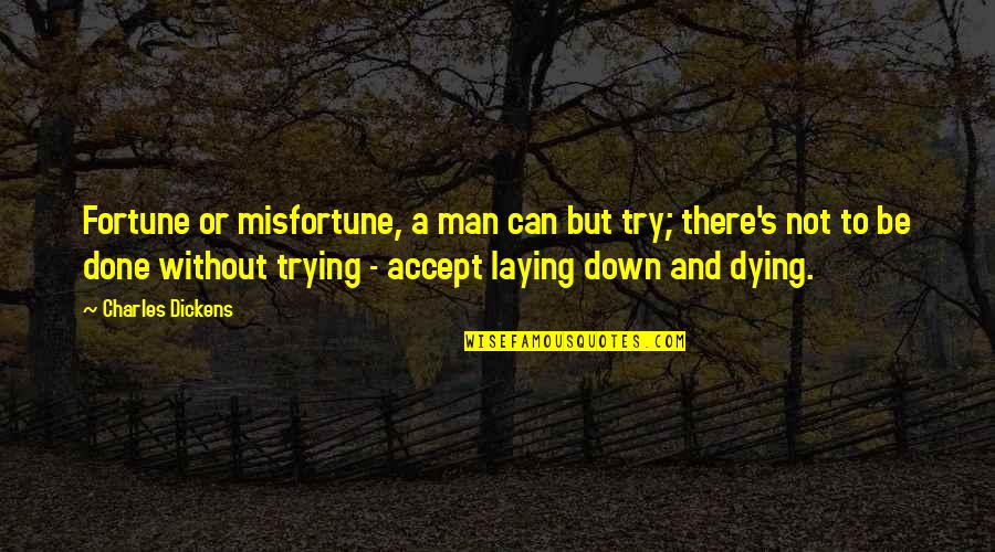 Anneke Quotes By Charles Dickens: Fortune or misfortune, a man can but try;