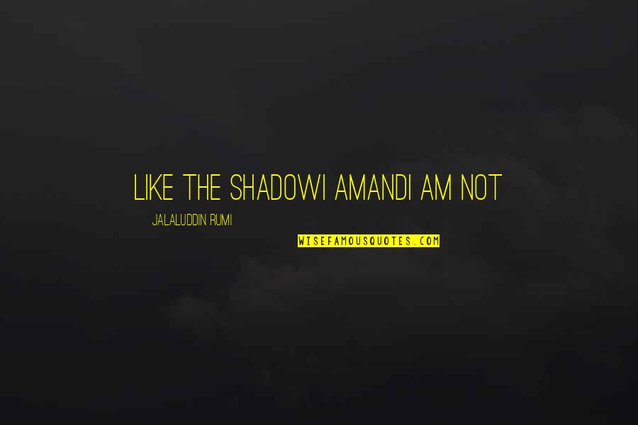 Annelisa Leinbach Quotes By Jalaluddin Rumi: Like the shadowI amandI am not Annelisa Leinbach Quotes By Jalaluddin Rumi: Like the shadowI amandI am not