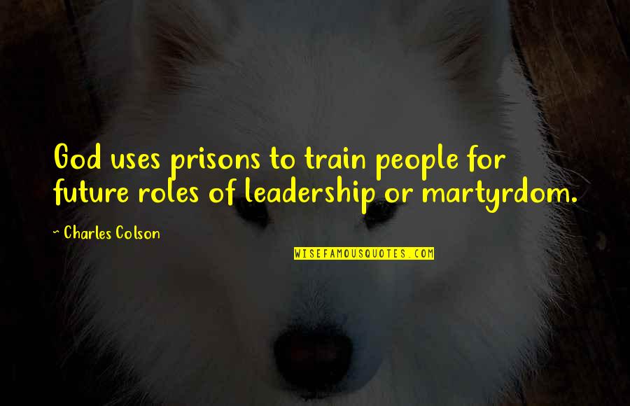 Annemarie Van Gaal Quotes By Charles Colson: God uses prisons to train people for future