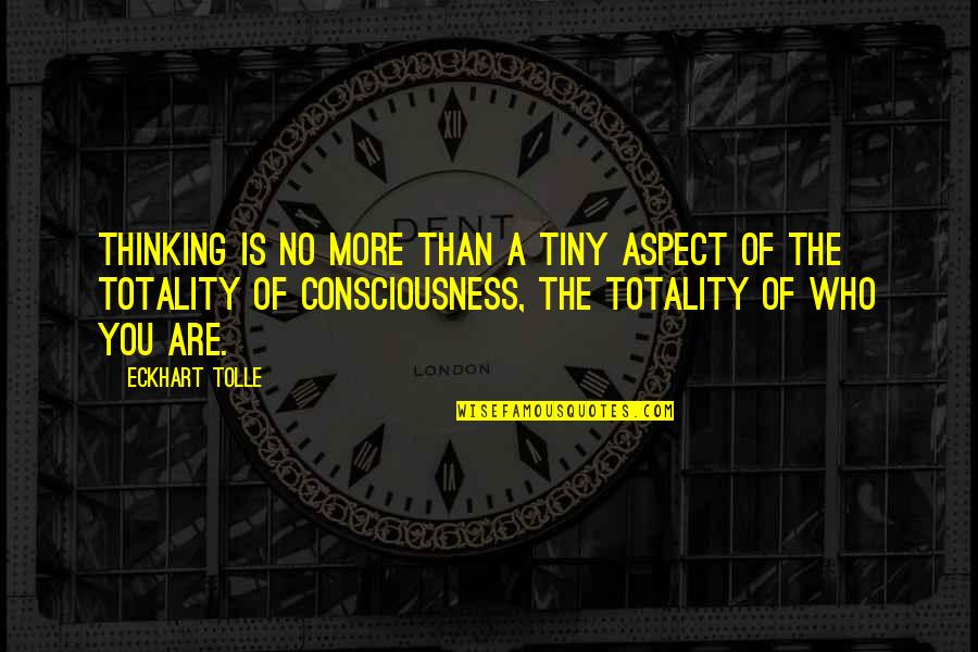 Annext Quotes By Eckhart Tolle: Thinking is no more than a tiny aspect