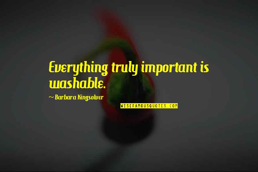 Anneyiz Quotes By Barbara Kingsolver: Everything truly important is washable.