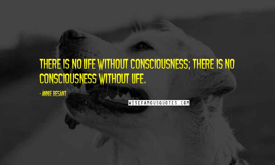 Annie Besant quotes: There is no life without consciousness; there is no consciousness without life.