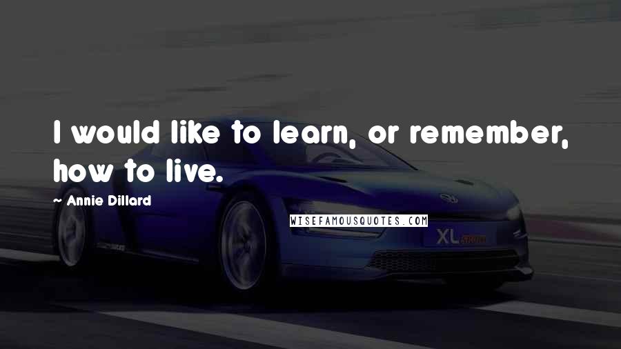 Annie Dillard quotes: I would like to learn, or remember, how to live.