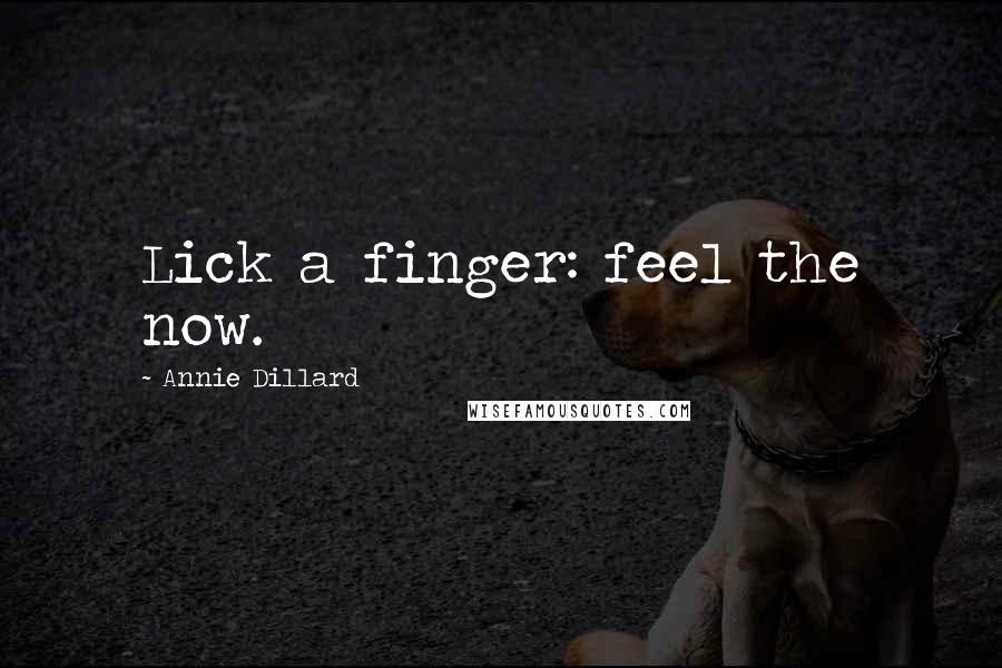 Annie Dillard quotes: Lick a finger: feel the now.