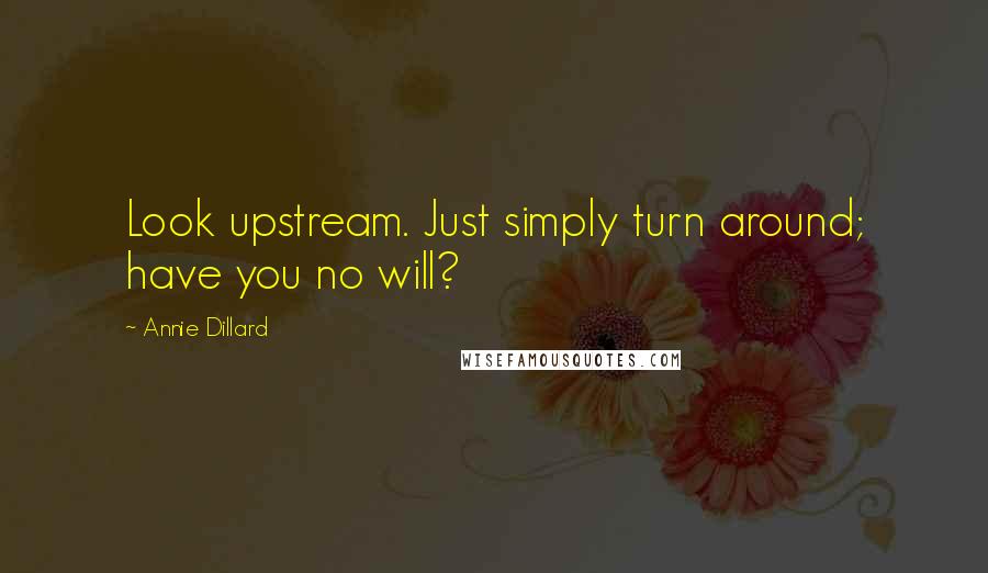 Annie Dillard quotes: Look upstream. Just simply turn around; have you no will?