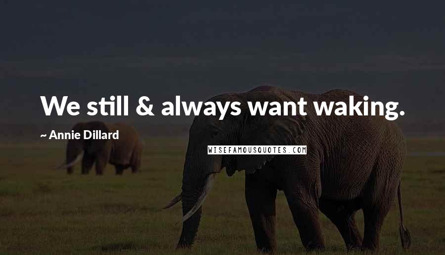 Annie Dillard quotes: We still & always want waking.