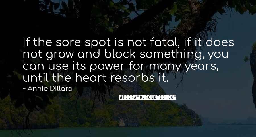 Annie Dillard quotes: If the sore spot is not fatal, if it does not grow and block something, you can use its power for many years, until the heart resorbs it. Annie Dillard quotes: If the sore spot is not fatal, if it does not grow and block something, you can use its power for many years, until the heart resorbs it.