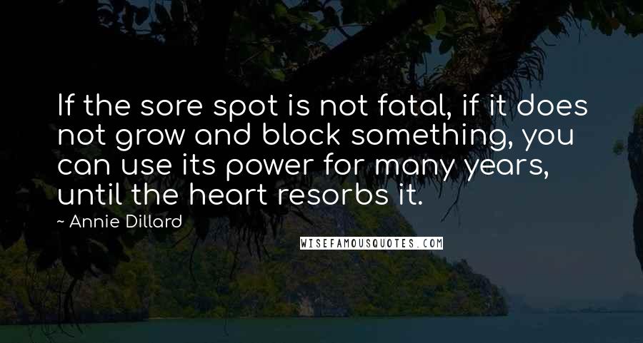 Annie Dillard quotes: If the sore spot is not fatal, if it does not grow and block something, you can use its power for many years, until the heart resorbs it.