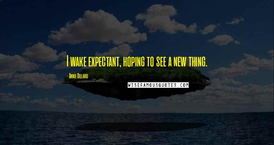 Annie Dillard quotes: I wake expectant, hoping to see a new thing.