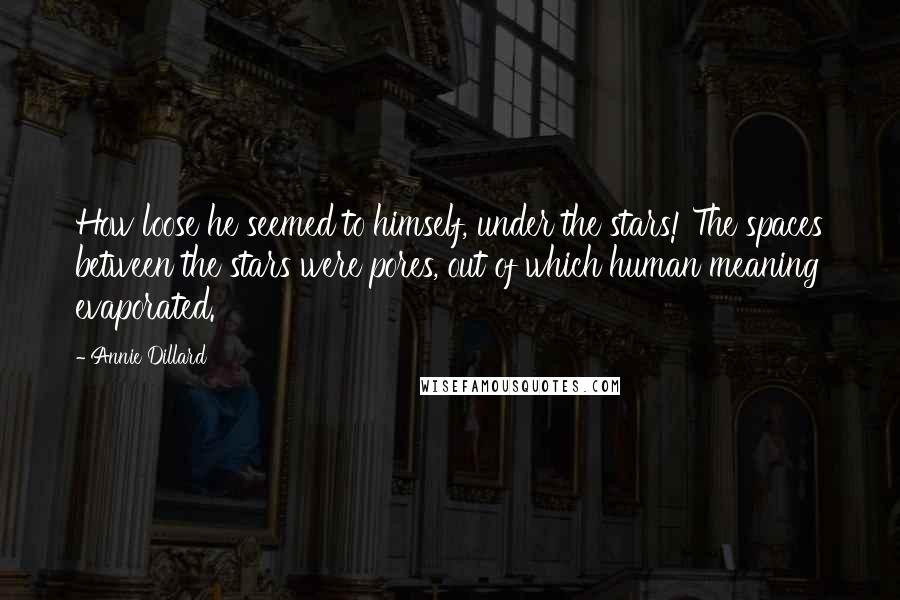 Annie Dillard quotes: How loose he seemed to himself, under the stars! The spaces between the stars were pores, out of which human meaning evaporated. Annie Dillard quotes: How loose he seemed to himself, under the stars! The spaces between the stars were pores, out of which human meaning evaporated.
