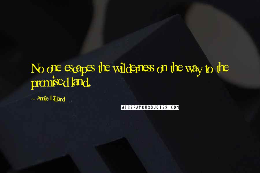 Annie Dillard quotes: No one escapes the wilderness on the way to the promised land.