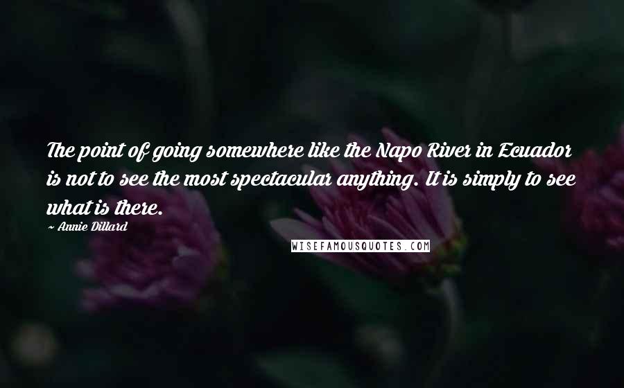 Annie Dillard quotes: The point of going somewhere like the Napo River in Ecuador is not to see the most spectacular anything. It is simply to see what is there. Annie Dillard quotes: The point of going somewhere like the Napo River in Ecuador is not to see the most spectacular anything. It is simply to see what is there.