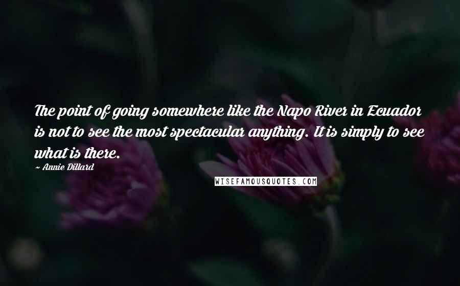 Annie Dillard quotes: The point of going somewhere like the Napo River in Ecuador is not to see the most spectacular anything. It is simply to see what is there.