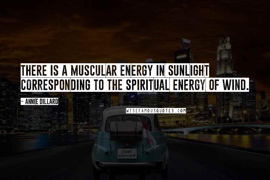 Annie Dillard quotes: There is a muscular energy in sunlight corresponding to the spiritual energy of wind.