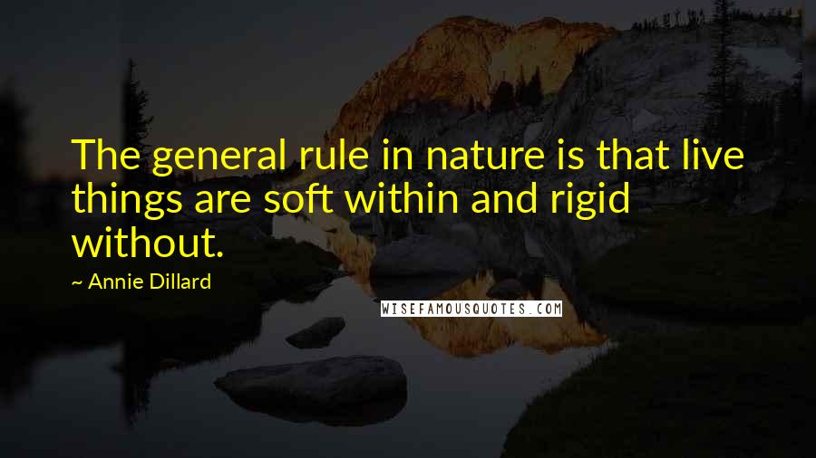 Annie Dillard quotes: The general rule in nature is that live things are soft within and rigid without.