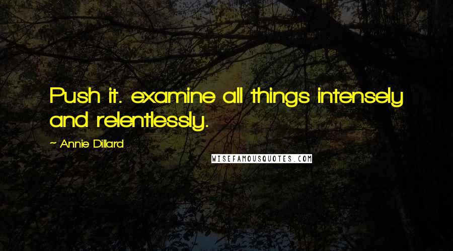 Annie Dillard quotes: Push it. examine all things intensely and relentlessly.