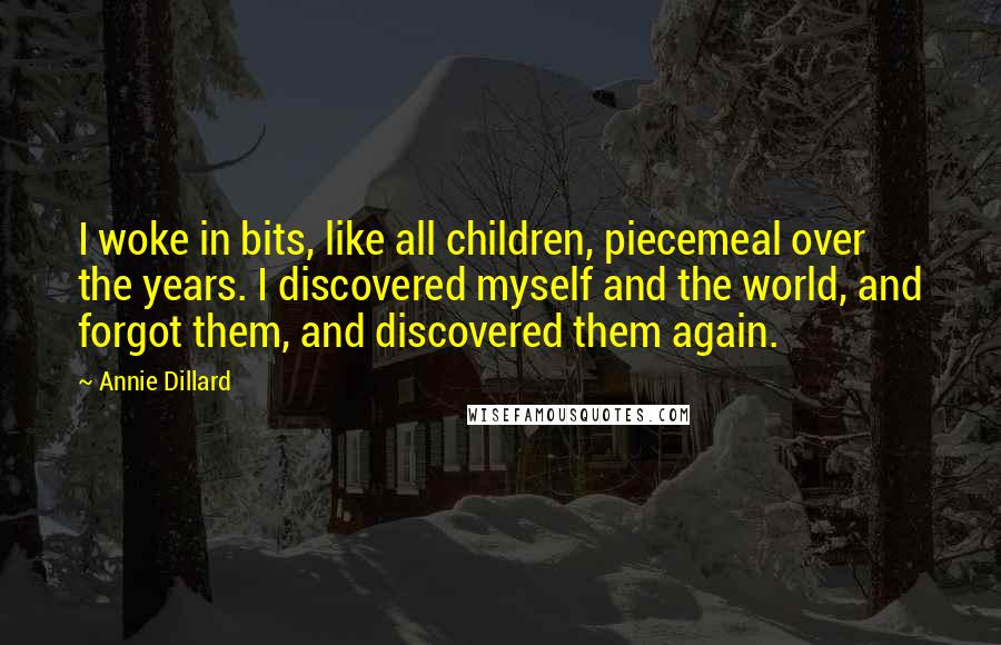 Annie Dillard quotes: I woke in bits, like all children, piecemeal over the years. I discovered myself and the world, and forgot them, and discovered them again.