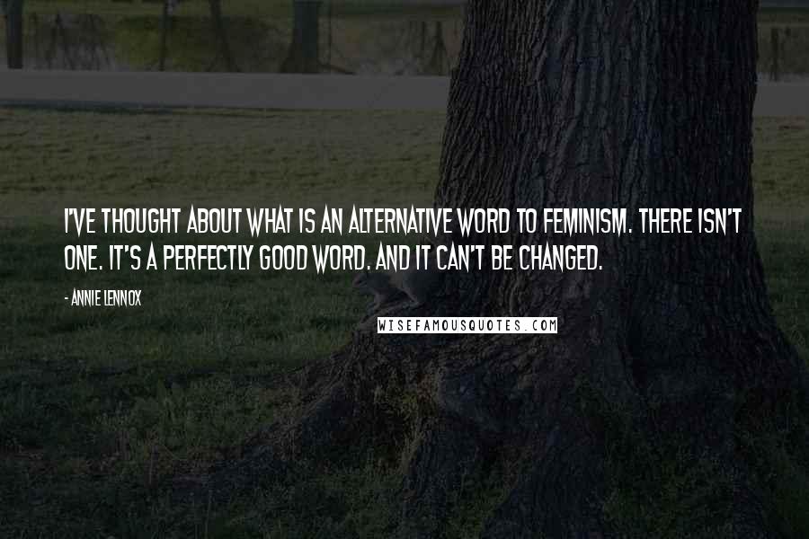 Annie Lennox quotes: I've thought about what is an alternative word to feminism. There isn't one. It's a perfectly good word. And it can't be changed. Annie Lennox quotes: I've thought about what is an alternative word to feminism. There isn't one. It's a perfectly good word. And it can't be changed.