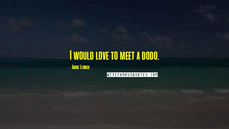 Annie Lennox quotes: I would love to meet a dodo.