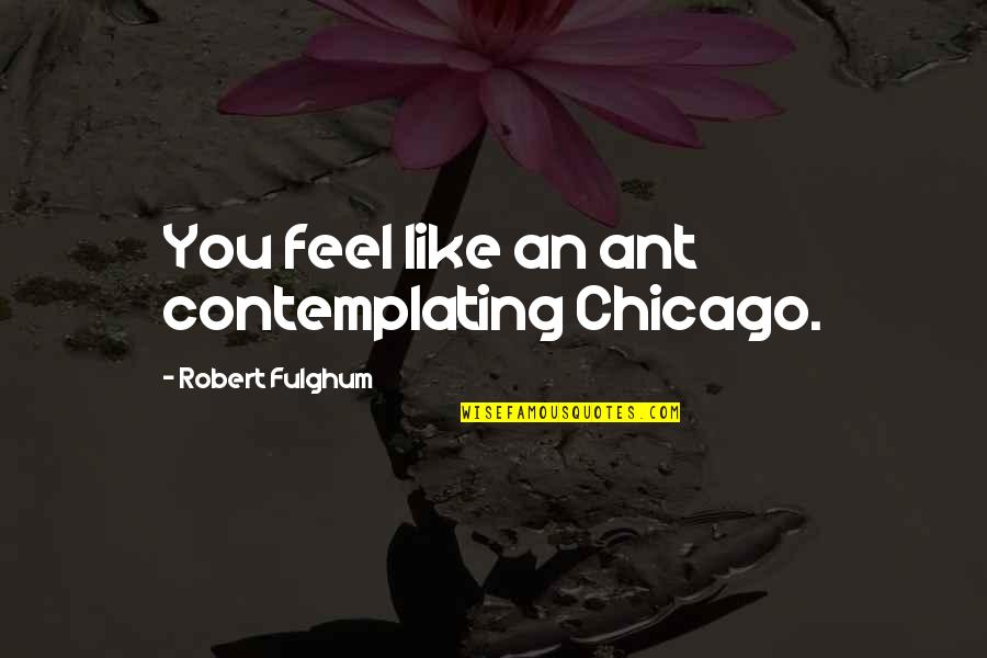 Annientamento Quotes By Robert Fulghum: You feel like an ant contemplating Chicago.