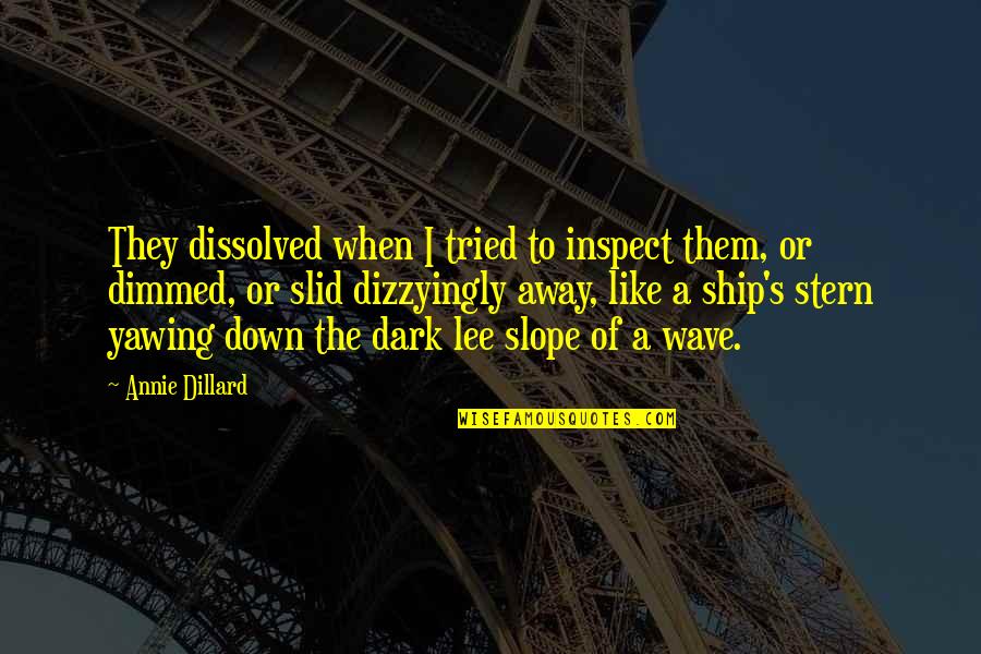 Annie's Quotes By Annie Dillard: They dissolved when I tried to inspect them,