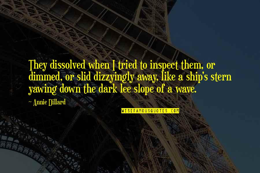 Annie's Quotes By Annie Dillard: They dissolved when I tried to inspect them, Annie's Quotes By Annie Dillard: They dissolved when I tried to inspect them,