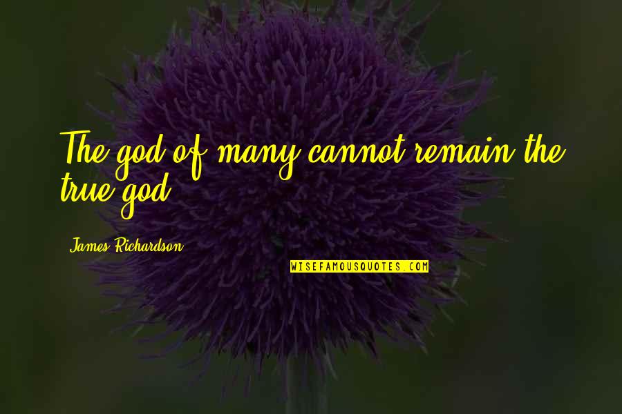 Annihilator Airguns Quotes By James Richardson: The god of many cannot remain the true Annihilator Airguns Quotes By James Richardson: The god of many cannot remain the true
