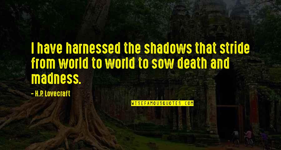 Annique Webstore Quotes By H.P. Lovecraft: I have harnessed the shadows that stride from
